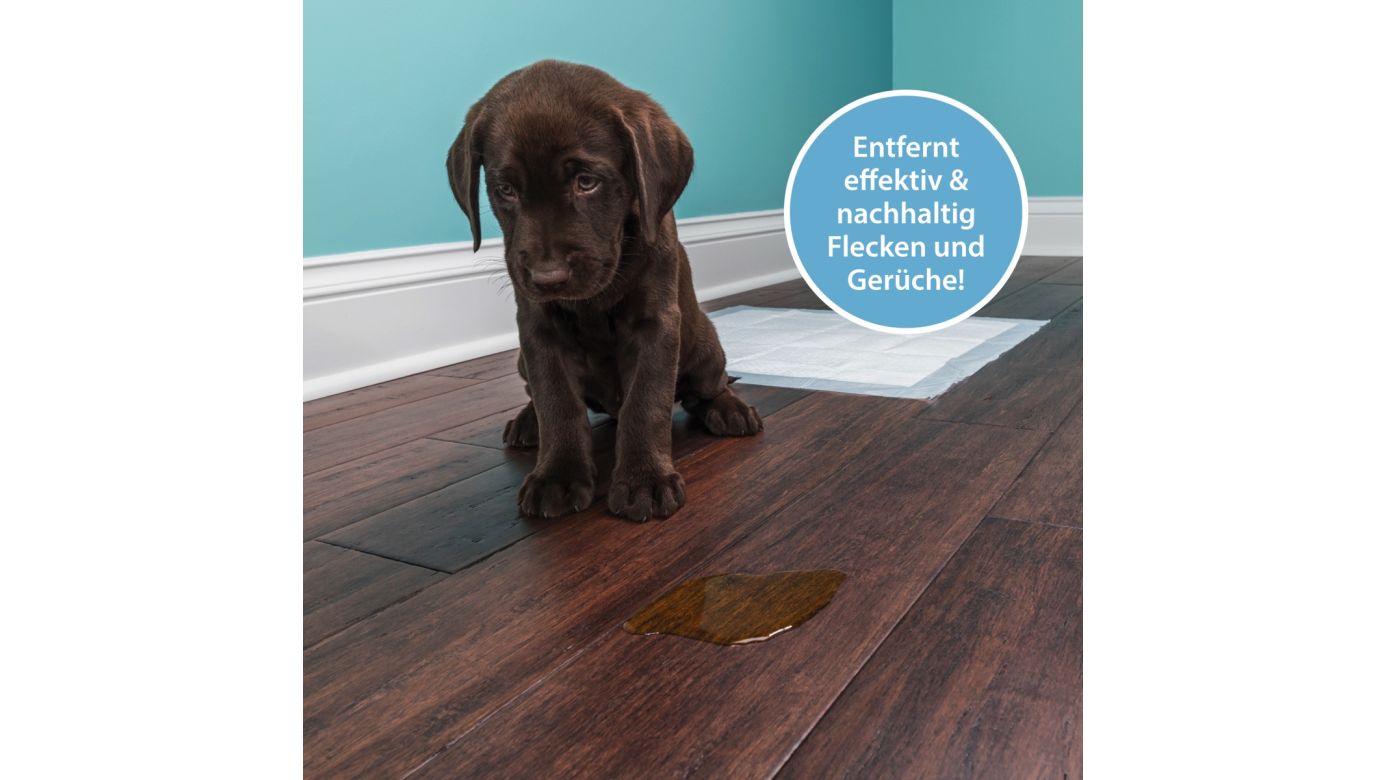 ARKA Pipi-Weg Urin- und Fleckenentferner Hund 750 ml