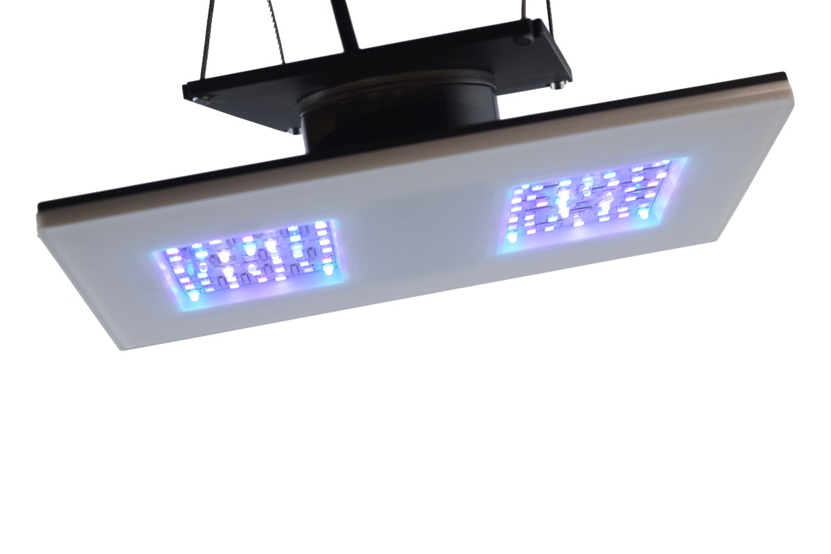 Kopie von b.SPX b.OCEAN Gravity21 2x1 Modul 30 W #1