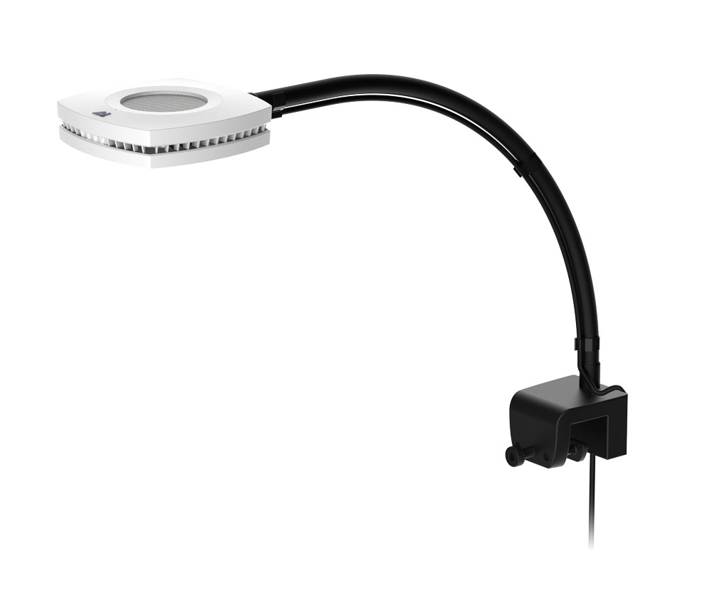 D-D Reef-Pro 900 D-LUX White Gloss Aquarium inkl. Beleuchtung, Riffaufbau, Salz D-D Reef-Pro 900 D-LUX White Gloss Aquarium inkl. Beleuchtung, Riffaufbau, Salz
