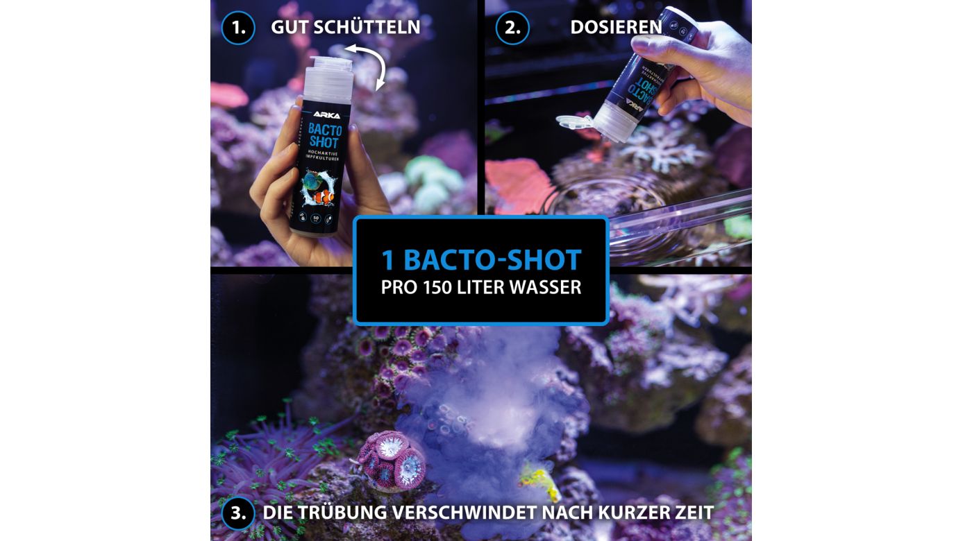 ARKA Bacto-Shot Hochaktive Impfkulturen 50 ml