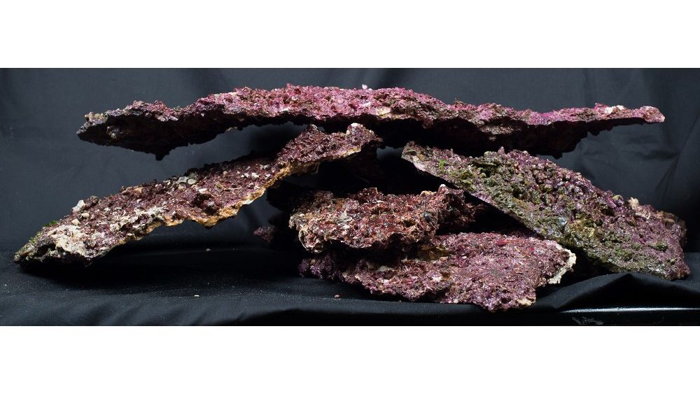 Real Reef Shelf Rock 25 kg Box