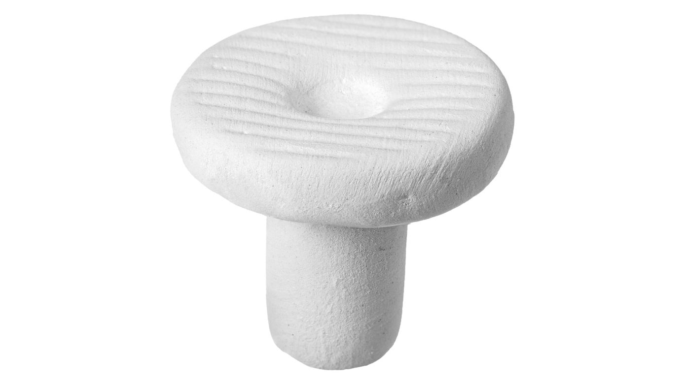 ARKA myReef CoralPlugs Ablegersteine rund 21 mm (12 St.)