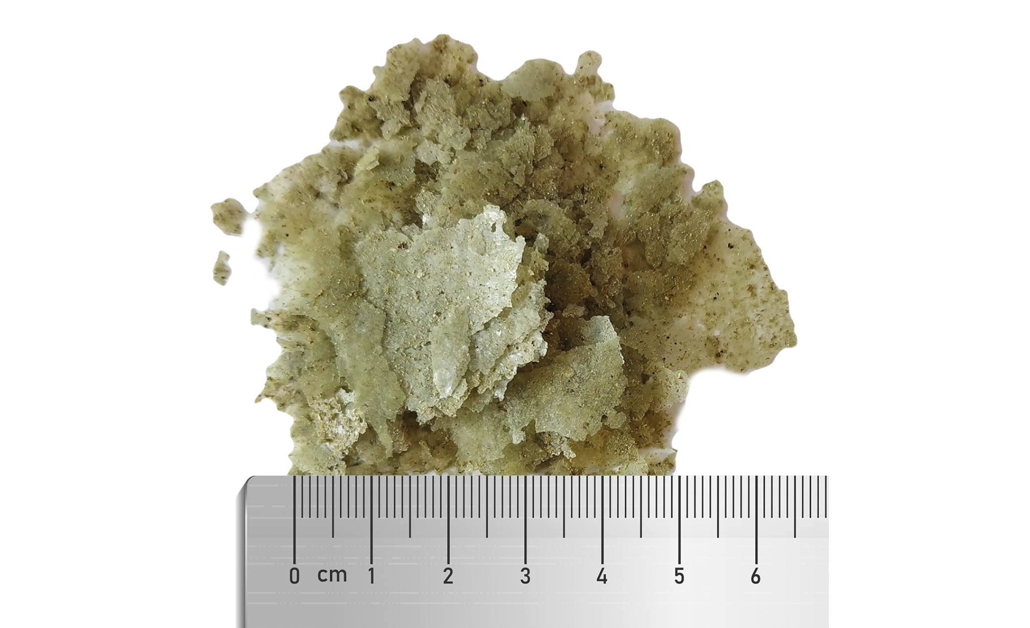 Fauna Marin Veggie Flakes Flockenfutter für herbivore Rifffische M 30 g