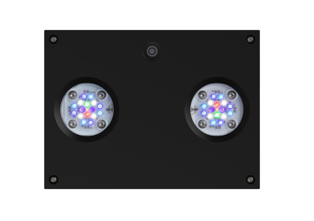 D-D Reef-Pro 1200 D-LUX Black Gloss Aquarium inkl. Beleuchtung, Riffaufbau, Salz D-D Reef-Pro 1200 D-LUX Black Gloss Aquarium inkl. Beleuchtung, Riffaufbau, Salz